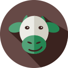 Calf