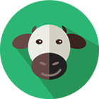 Dairy